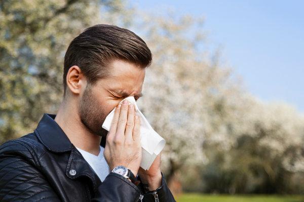 allergitabletter mot pollen allergitabletter mot pollen